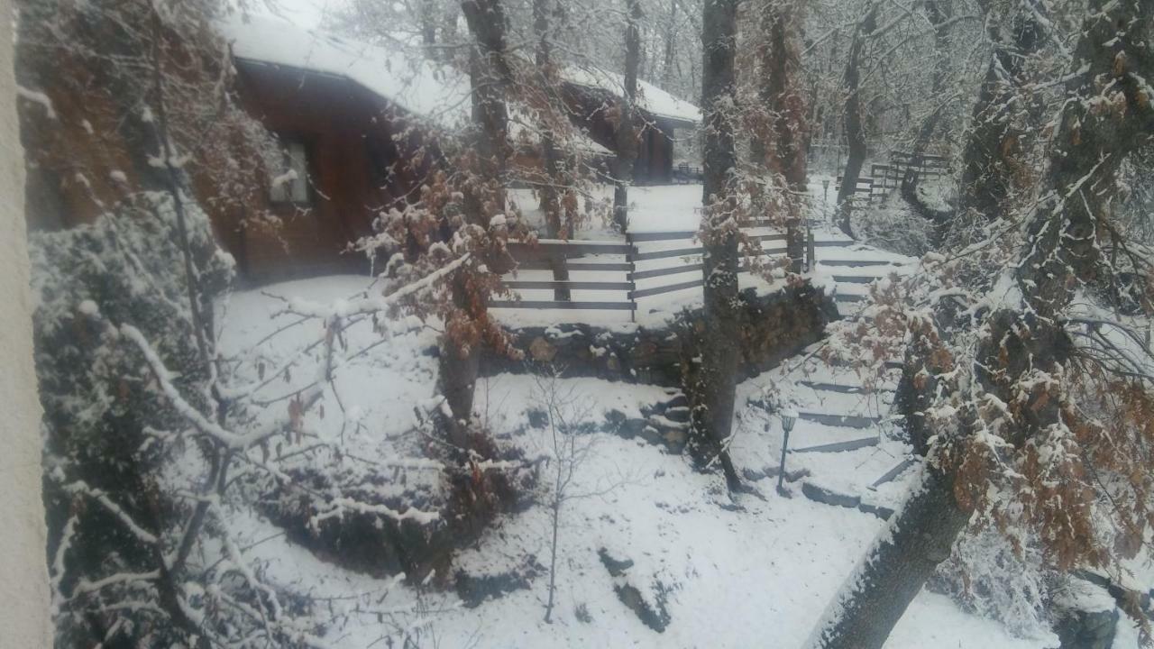 La Albarina Vendégház Galende Kültér fotó